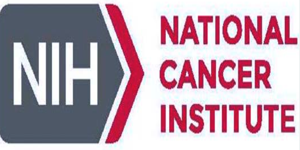 img-CCR, NCI